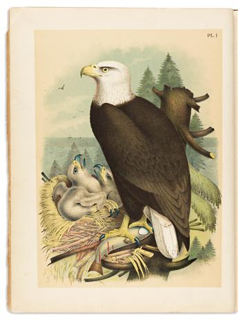 (BIRDS.) Jacob Studer; and Theodore Jasper. Studers Popular Ornithology. The Birds of North America.
